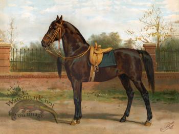 Wojko Queens Horse by Eerelman